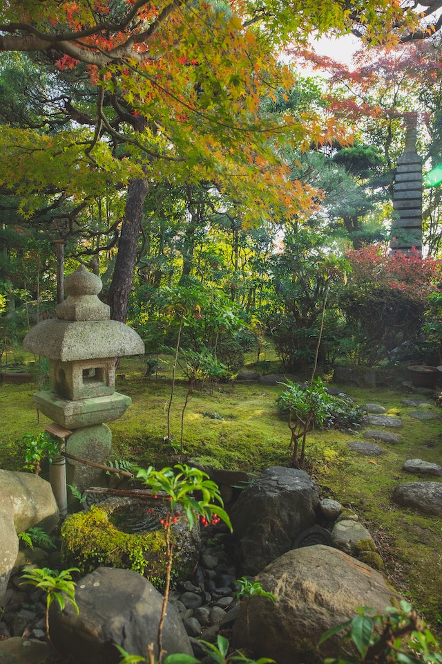 some-of-the-good-choices-for-small-Japanese-gardens