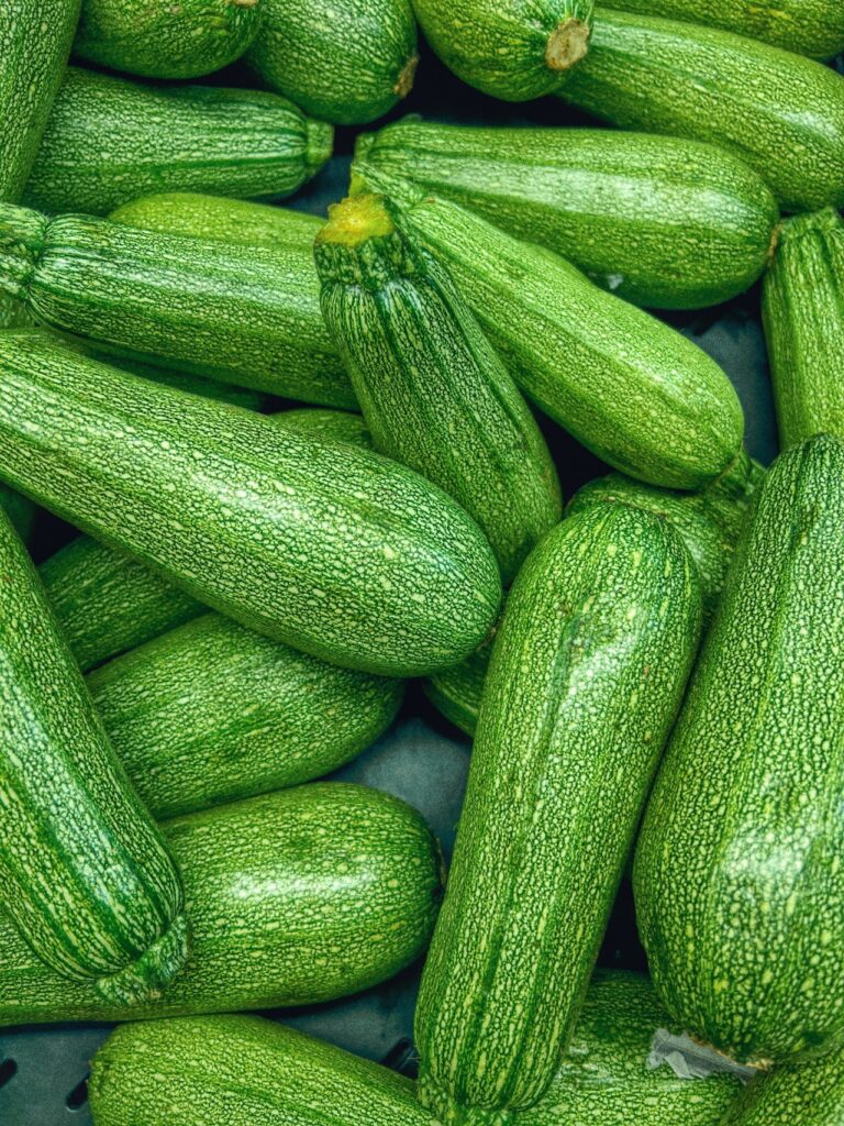 Best-Zucchini-for-Containers