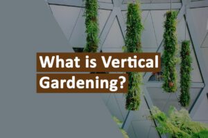 Everything you need to know about vertical gardening