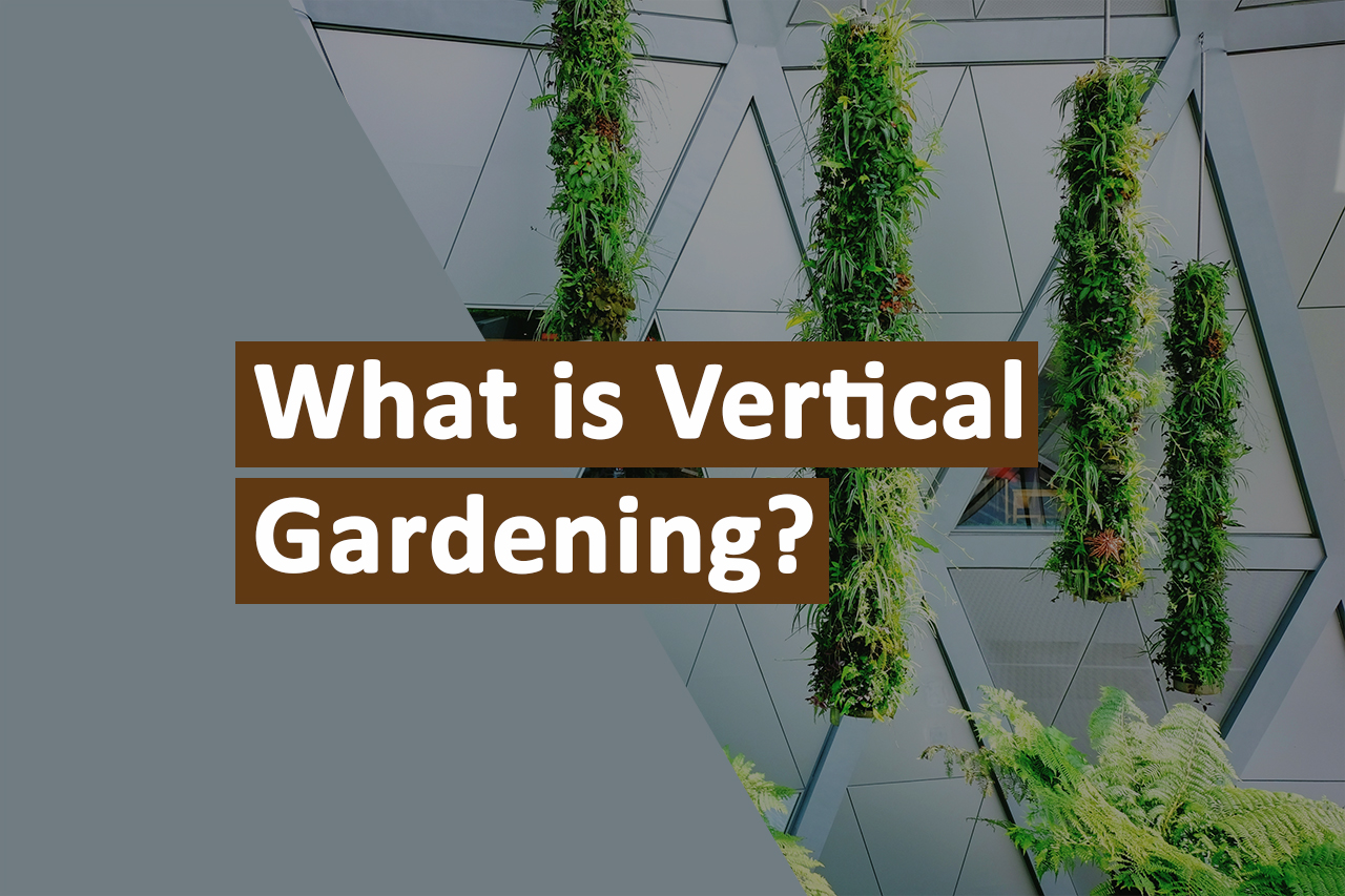Everything you need to know about vertical gardening
