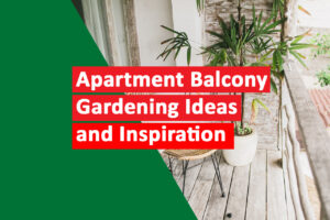 Green Oasis in the City Apartment Balcony Gardening Ideas and Inspiration