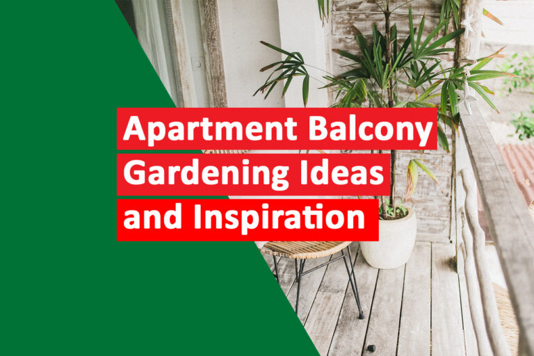 Green Oasis in the City Apartment Balcony Gardening Ideas and Inspiration