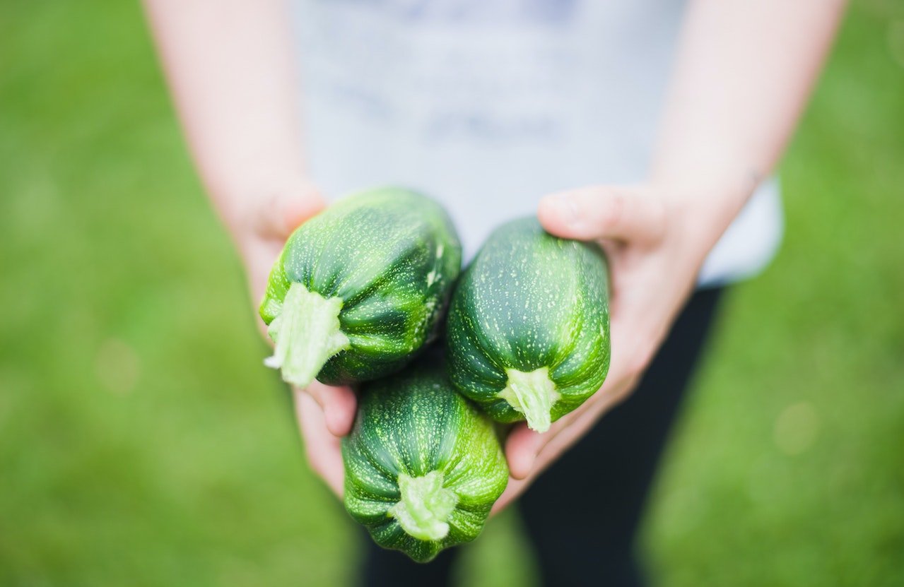 Growing Zucchini in Containers • From Seed to Harvest: Growing Zucchini in Containers with Success