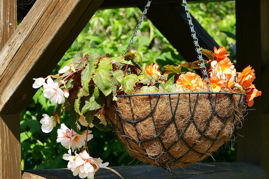 Hanging Herb Baskets