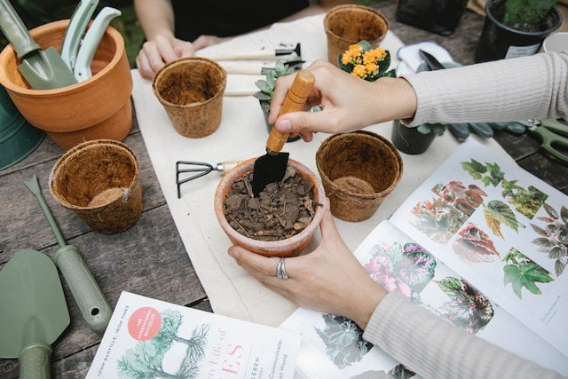 Picking the Right Plants