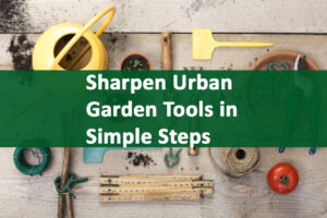 Sharpen Urban Garden Tools