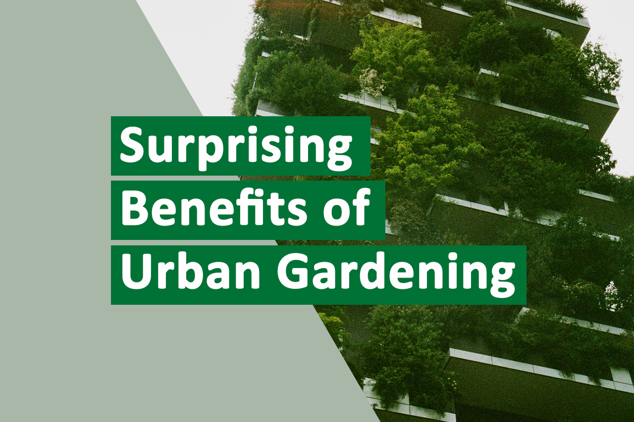 Surprising-Benefits-of-Urban-Gardening