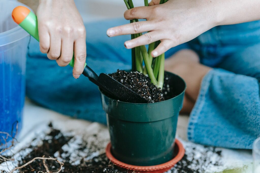 Things to use for container gardening