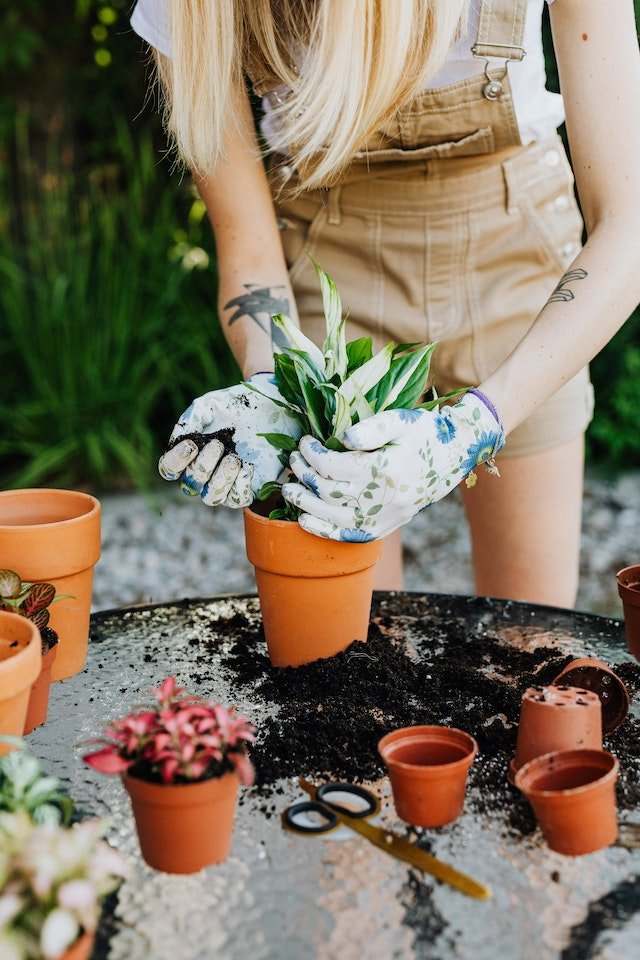 Apartment Balcony Gardening • Green Oasis in the City: Apartment Balcony Gardening Ideas and Inspiration