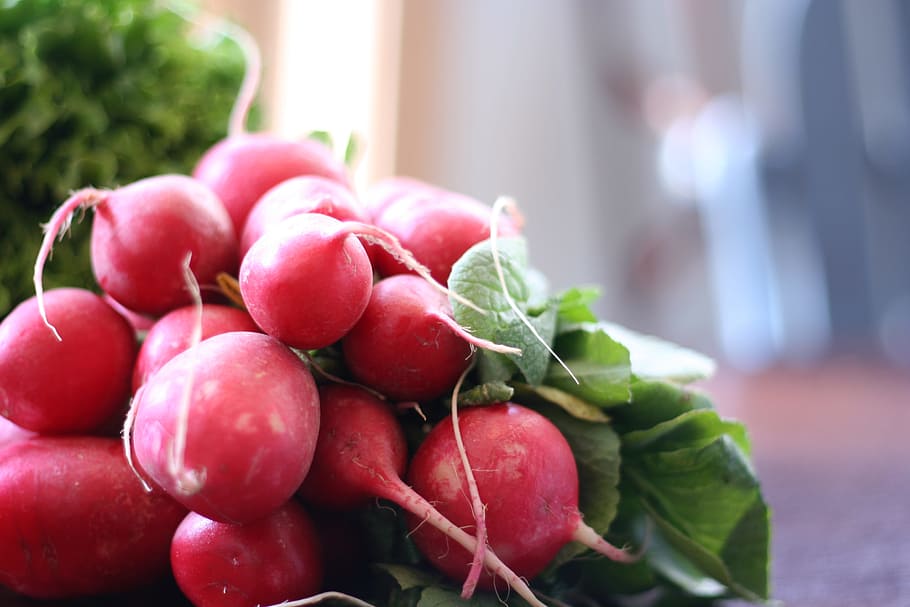 How to Grow Radishes in Water