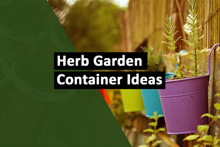Herb Garden Containers